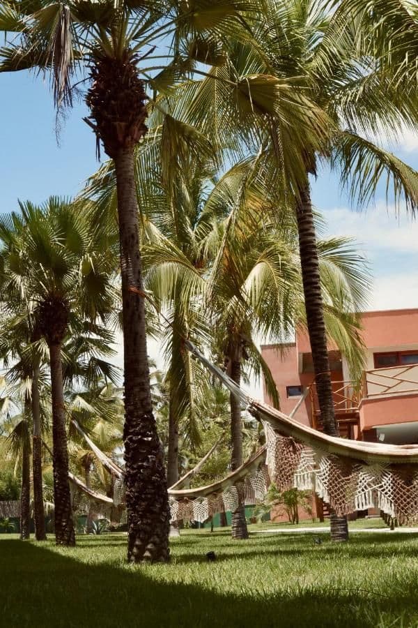 Terrasa Solar Hotel — foto 10