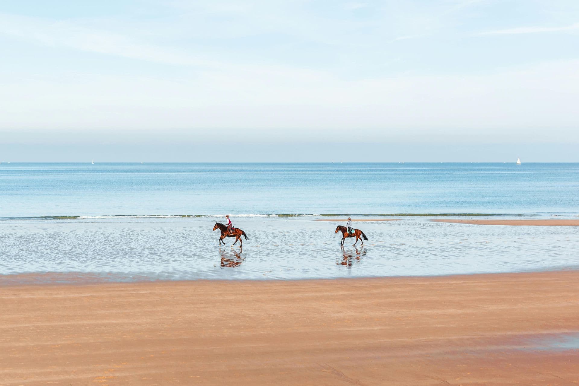 Passeios a cavalo