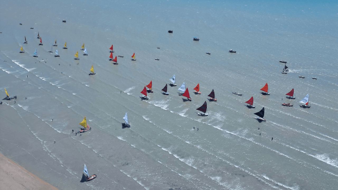 Curta a tradição da regata de Moitas em Julho