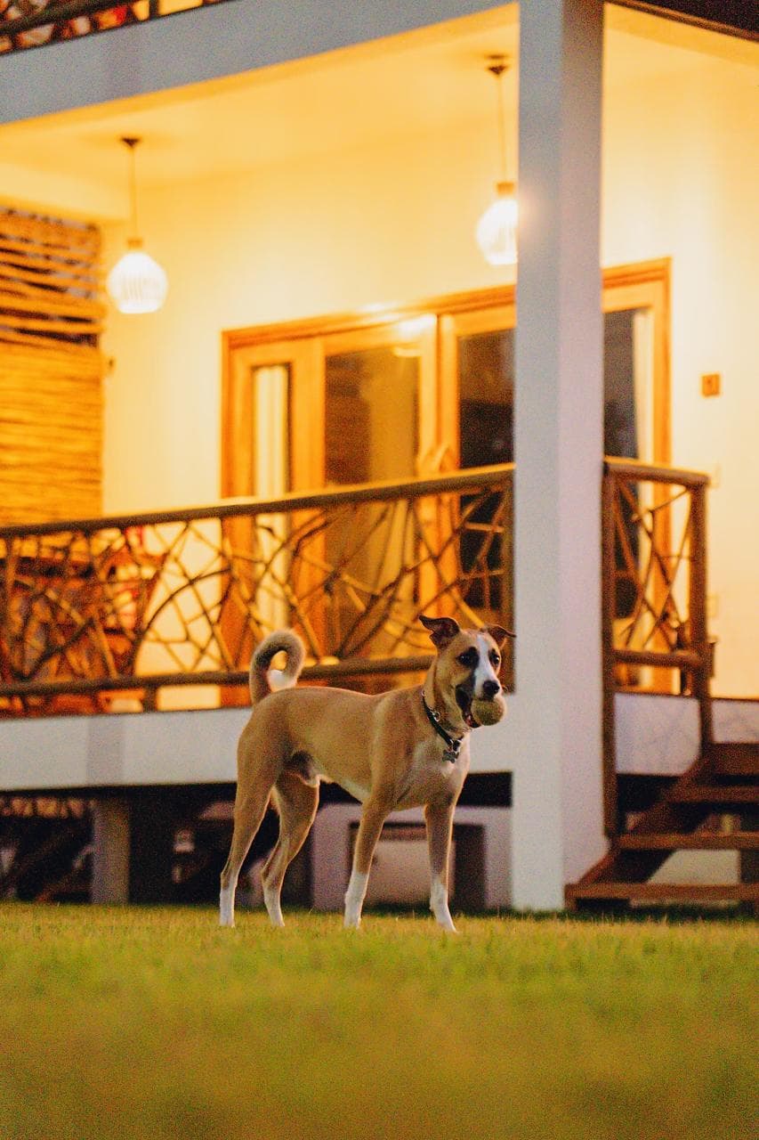 Casa de Coco — foto 20
