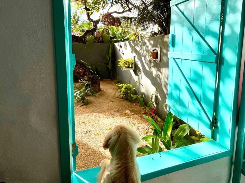 Casa Peroá Pousada & Boutique — foto 2