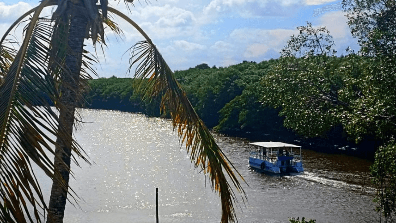 Assu Porto Prime - Passeios de Catamarã